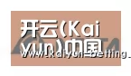 开云体育合作伙伴六