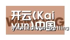 开云体育合作伙伴三