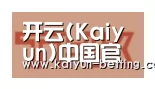 开云体育合作伙伴二