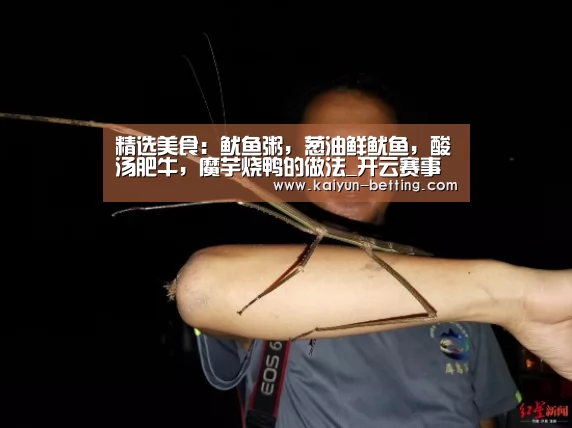 精选美食:鱿鱼粥,葱油鲜鱿鱼,酸汤肥牛,魔芋烧鸭的做法_开云赛事(图3) 开云首页