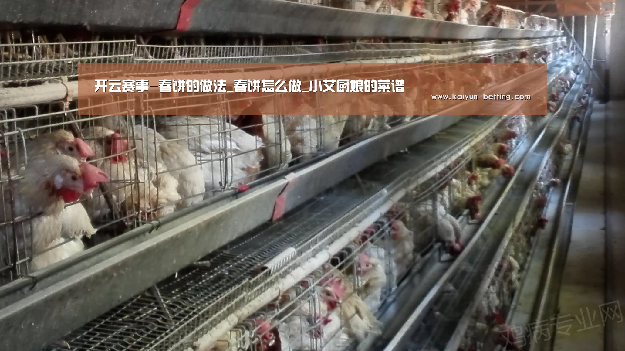 开云赛事