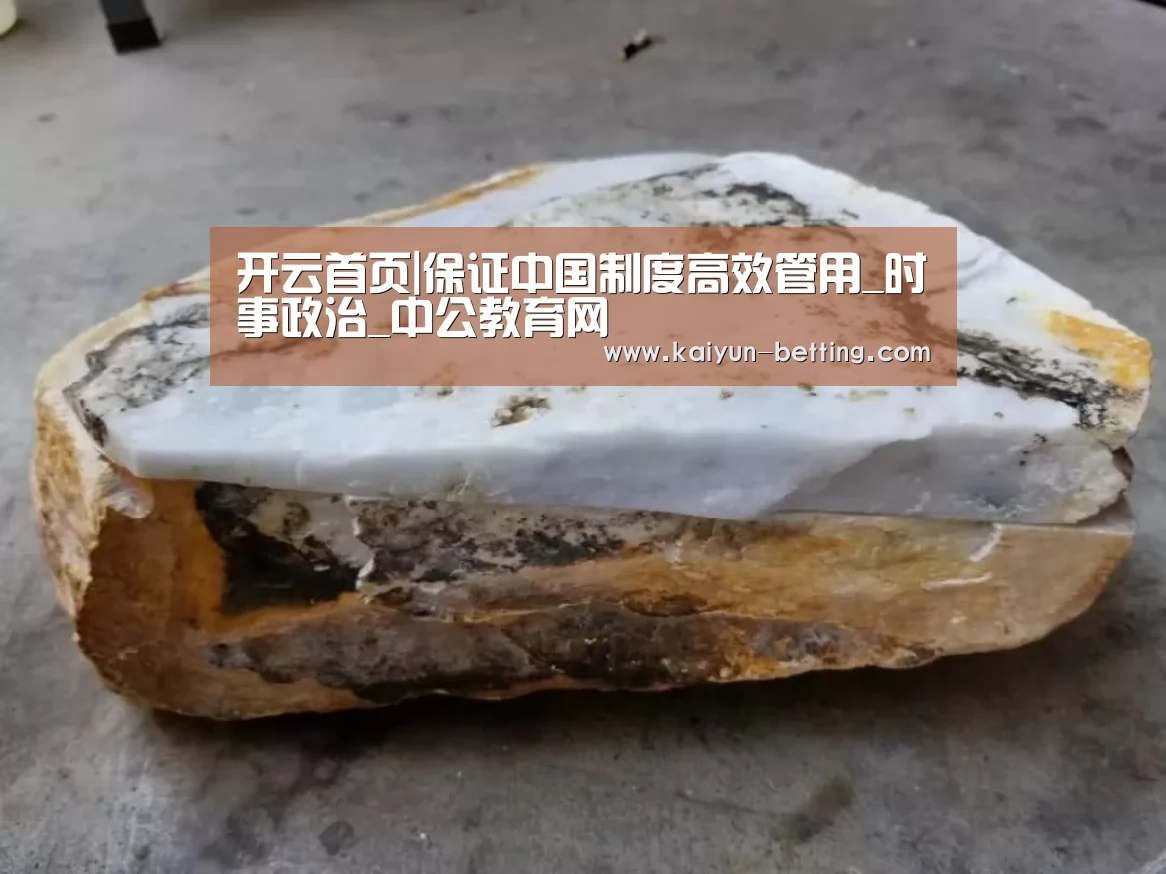 开云首页|保证中国制度高效管用_时事政治_中公教育网(图3) 开云首页