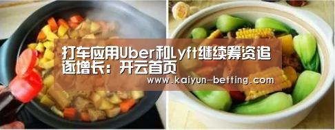 打车应用Uber和Lyft继续筹资追逐增长:开云首页(图1) 开云赛事