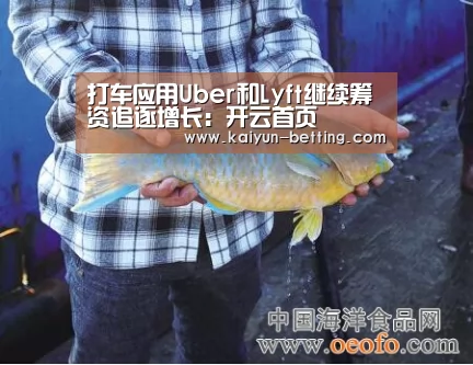 打车应用Uber和Lyft继续筹资追逐增长:开云首页(图4) 开云体育