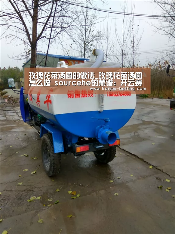 玫瑰花茶汤圆的做法_玫瑰花茶汤圆怎么做_sourcehe的菜谱:开云赛事(图4) 开云赛事