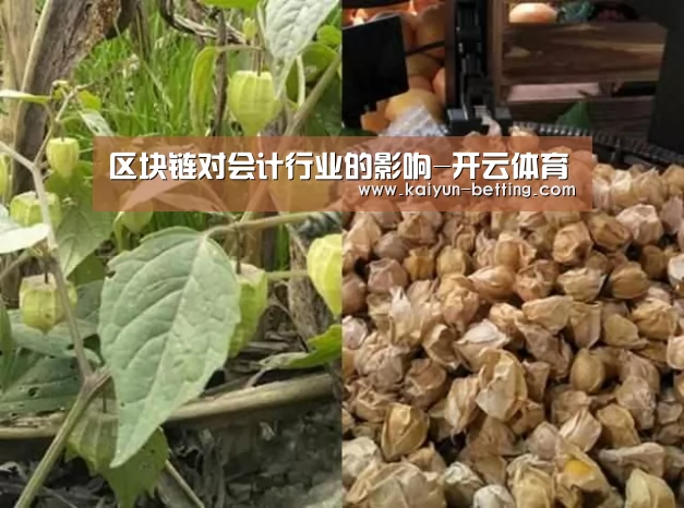 开云官网