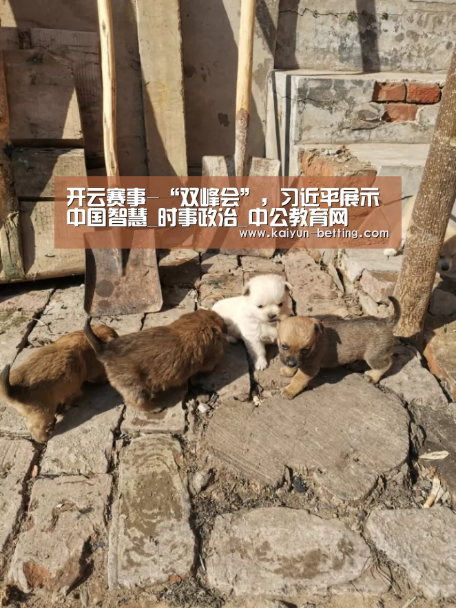 开云赛事-“双峰会”,习近平展示中国智慧_时事政治_中公教育网(图1) 开云官网