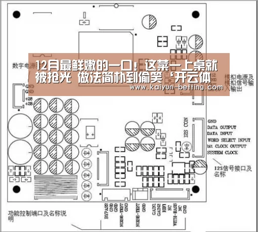 12月最鲜嫩的一口!这菜一上桌就被抢光 做法简朴到偷笑‘开云体育’(图1) 开云官网