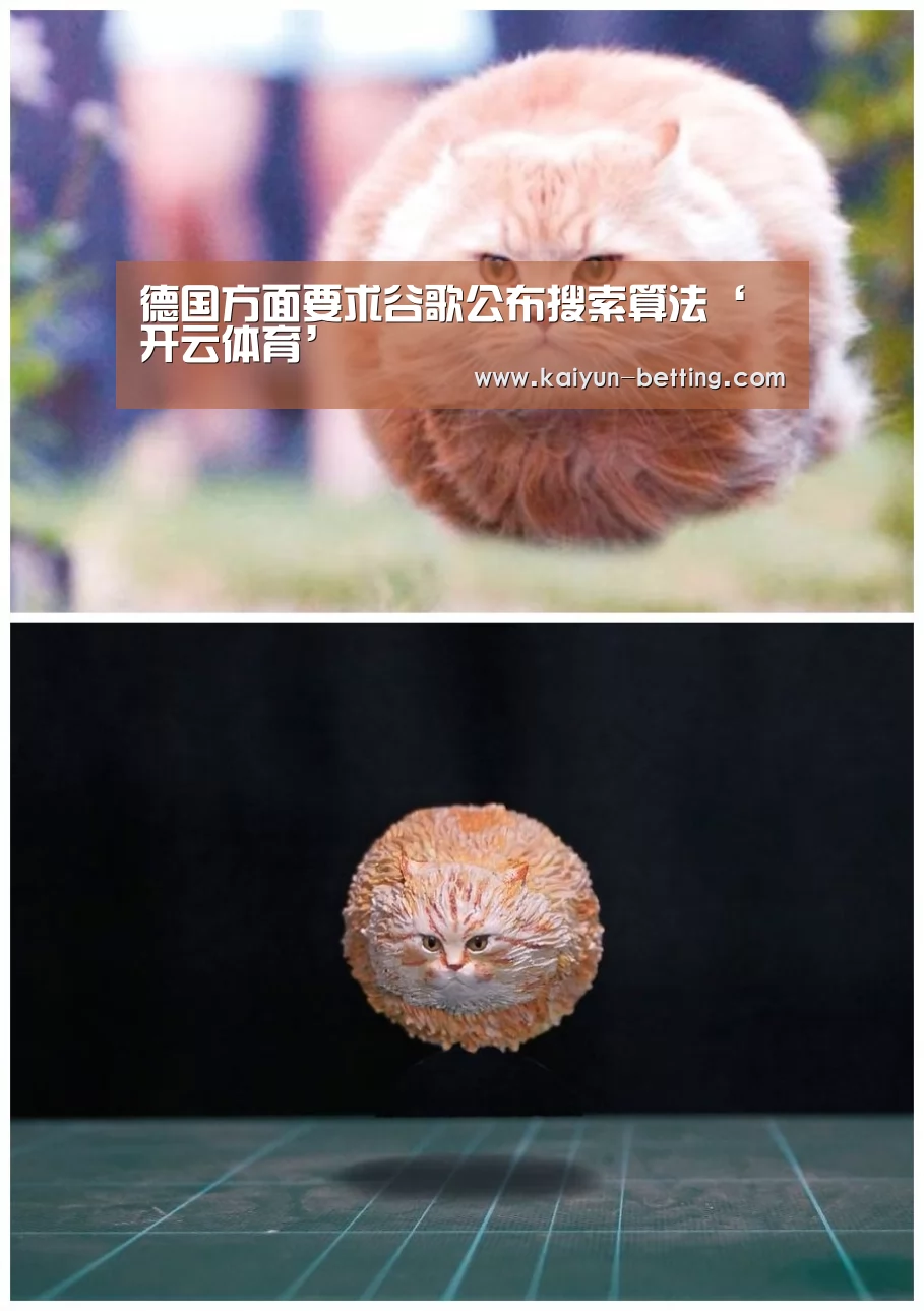 德国方面要求谷歌公布搜索算法‘开云体育’(图2) 开云体育