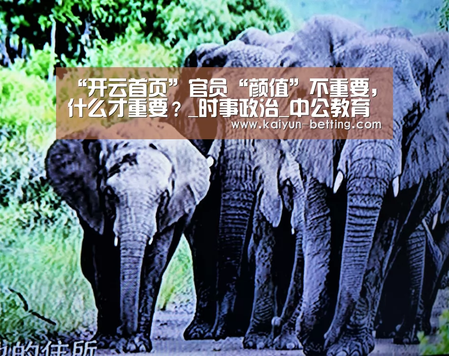 开云赛事